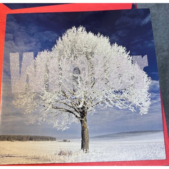 Holly & Winter Glitter Holiday Cards Set With Red Envelopes Set of 18 Beautiful - Picture 2 of 6